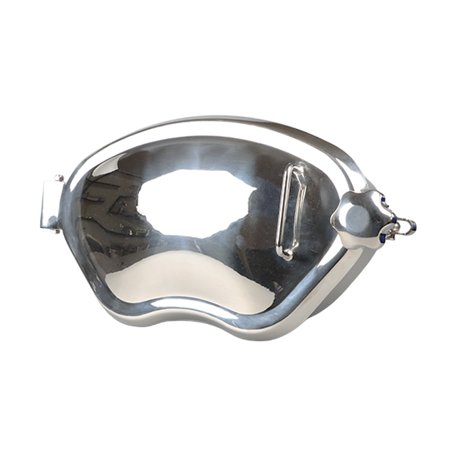 Trou d'homme hygiénique de trappe de réservoir d'ouverture d'oscillation latérale d'acier inoxydable DN600 avec la fermeture périphérique